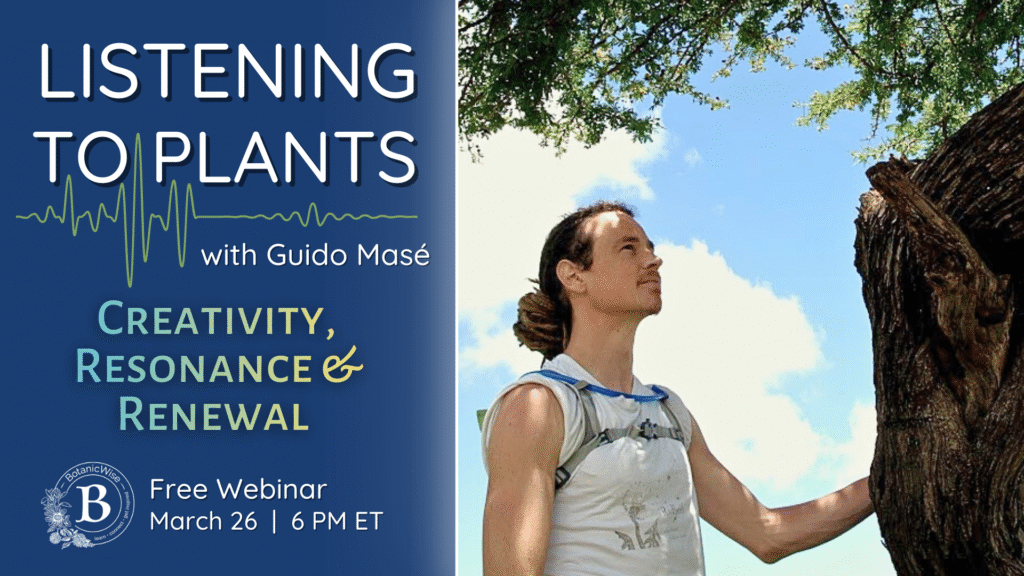 Listening to Plants Creativity, Resonance & Renewal with Guido Masé