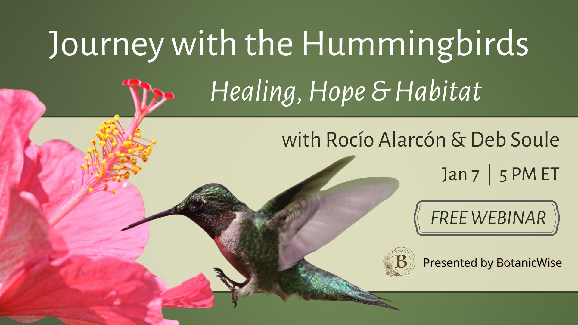 Journey with the Hummingbirds with Rocío Alarcón, Deb Soule