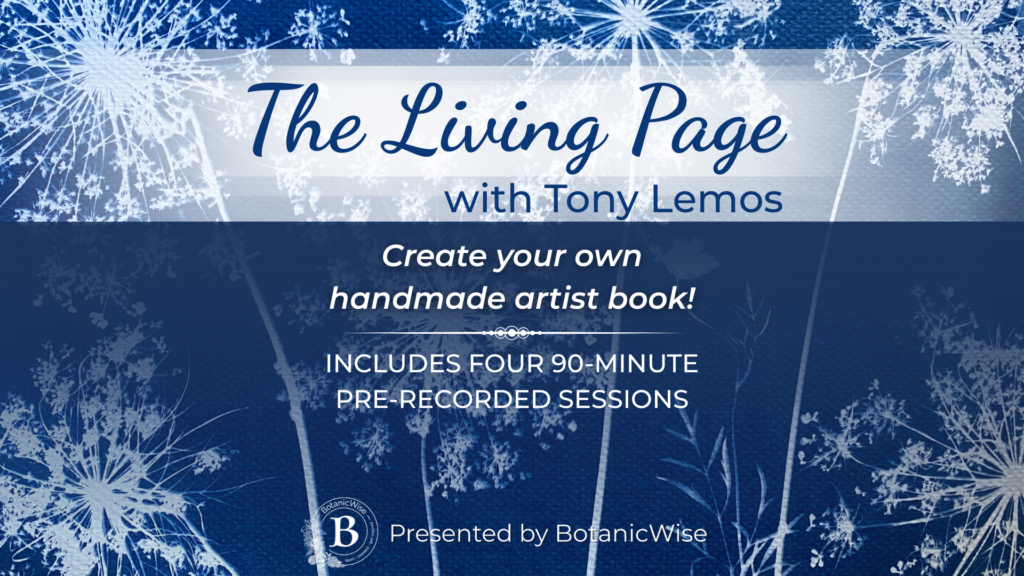 The Living Page with Tony Lemos