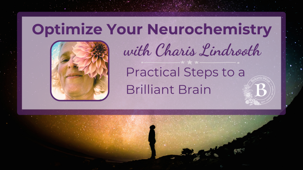 Optimize Your Neurochemistry