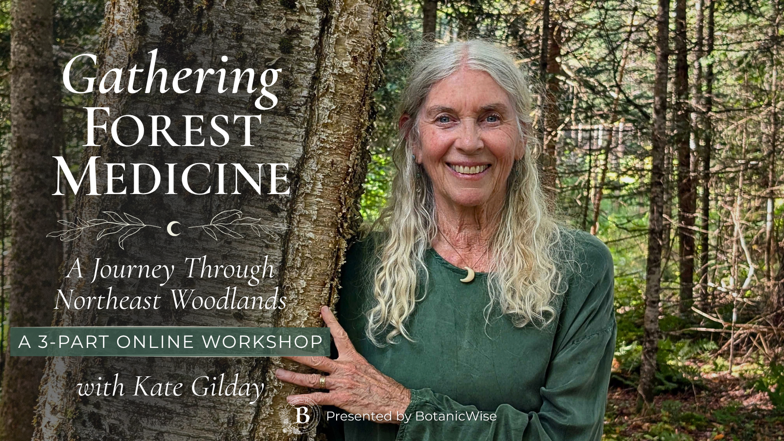 Gathering Forest Medicine with Kate Gilday