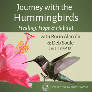 Journey with the Hummingbirds: Healing, Hope & Habitat with Rocío Alarcón and Deb Soule