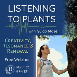 Listening to Plants Creativity, Resonance & Renewal with Guido Masé