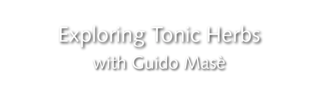 Exploring Tonic Herbs with Guido Mase