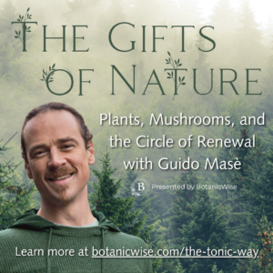 The Gifts of Nature with Guido Masè