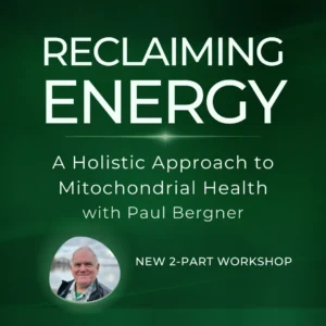 Reclaiming Energy with Paul Bergner