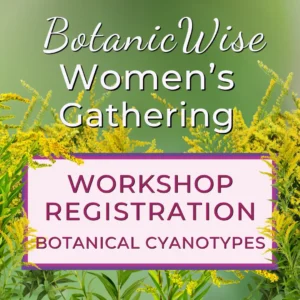 2026 Workshop - Sun, Water, Leaf: Botanical Cyanotypes as Living Impressions with Tony Lemos